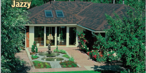 jazzy korichneviy 2.PNG