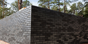 Новосиб 2.jpg