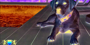 Террасная доска из ДПК Bamberg, Solid, Brazilian Walnut 87