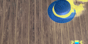 Террасная доска из ДПК Bamberg, Square, English Barnwood11