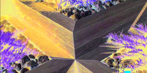 Террасная доска из ДПК Bamberg, Square, English Barnwood66