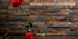 Сланец Multicolor Classic4