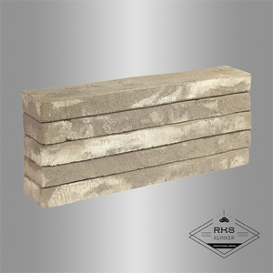 Облицовочный кирпич LOPO QXK 5880, 490x90x40 мм